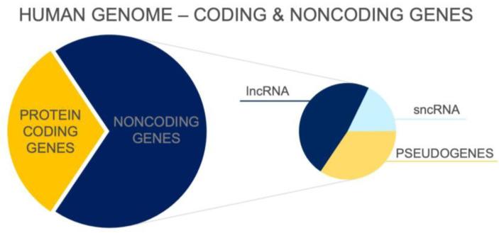 https://cdn.ncbi.nlm.nih.gov/pmc/blobs/c069/11117901/2dd00497b6d9/biomedicines-12-00932-g001.jpg