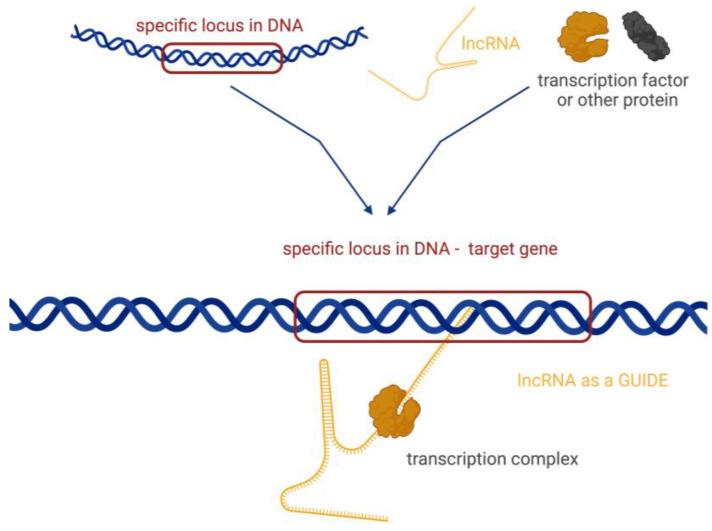 https://cdn.ncbi.nlm.nih.gov/pmc/blobs/c069/11117901/333cb8fbde05/biomedicines-12-00932-g004.jpg
