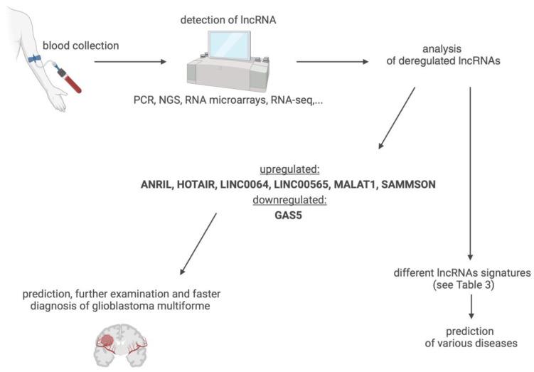 https://cdn.ncbi.nlm.nih.gov/pmc/blobs/c069/11117901/84686fe8614f/biomedicines-12-00932-g006.jpg
