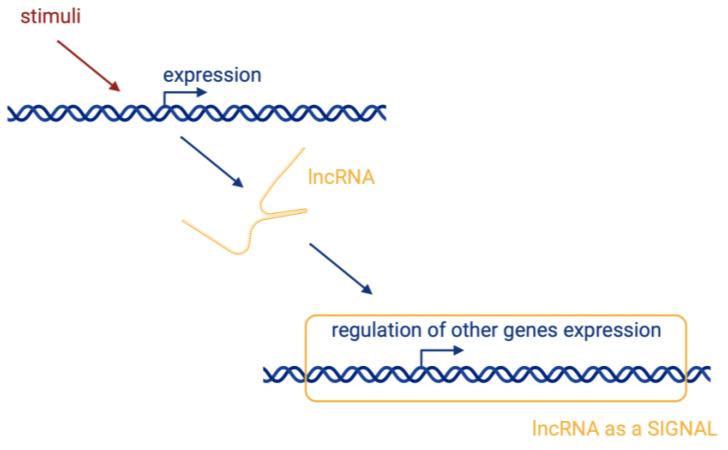 https://cdn.ncbi.nlm.nih.gov/pmc/blobs/c069/11117901/c6dddc21f067/biomedicines-12-00932-g002.jpg