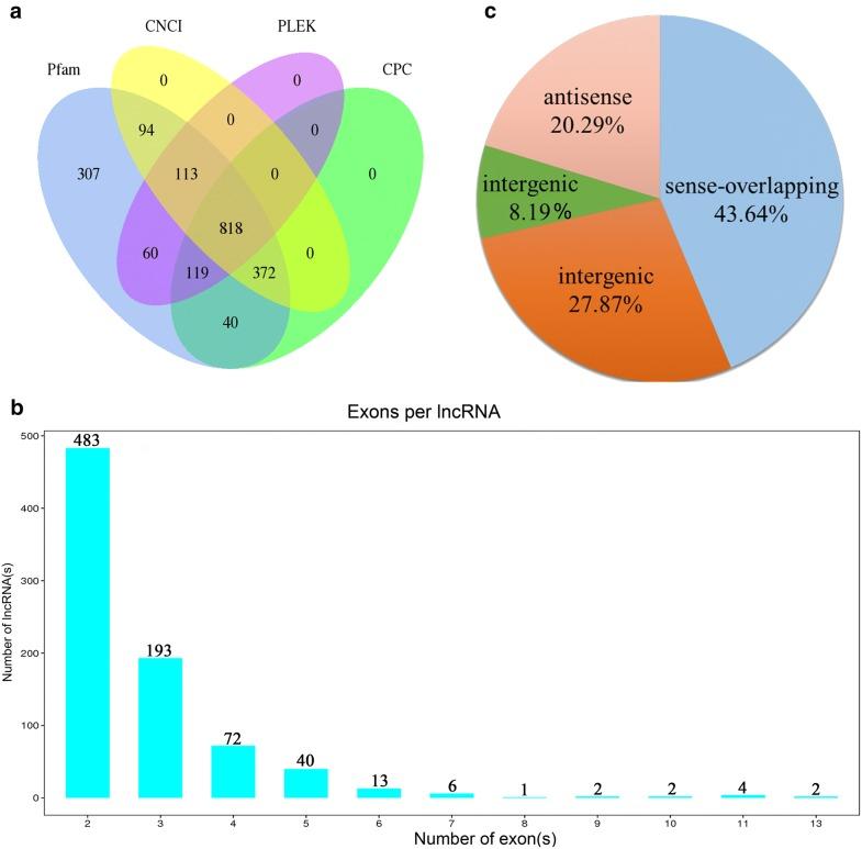 https://cdn.ncbi.nlm.nih.gov/pmc/blobs/c06a/7118956/5f659bb15cd9/13071_2020_4047_Fig1_HTML.jpg