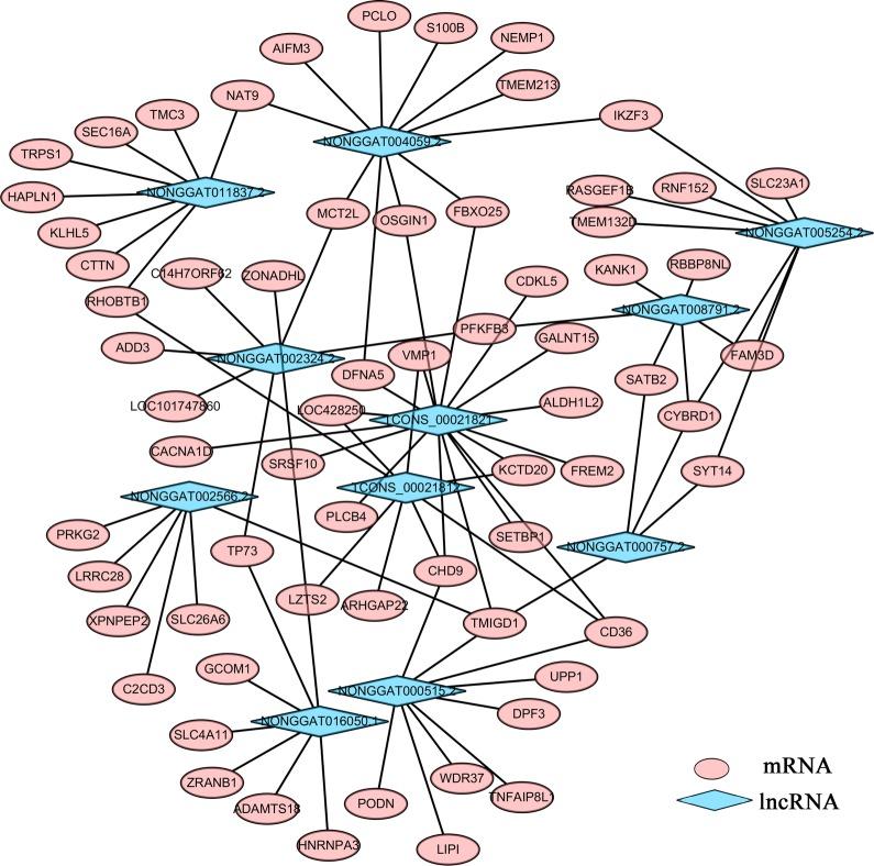 https://cdn.ncbi.nlm.nih.gov/pmc/blobs/c06a/7118956/8bff805672a0/13071_2020_4047_Fig5_HTML.jpg