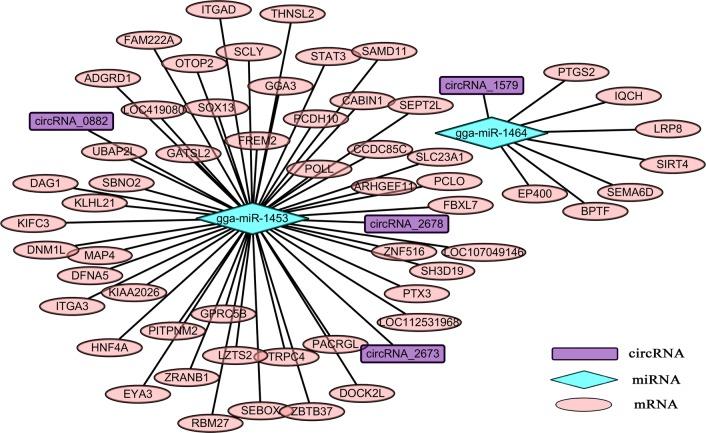 https://cdn.ncbi.nlm.nih.gov/pmc/blobs/c06a/7118956/cd4333345113/13071_2020_4047_Fig6_HTML.jpg