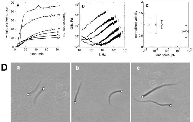 https://cdn.ncbi.nlm.nih.gov/pmc/blobs/c06b/2172664/340838b47834/200207148f4.jpg