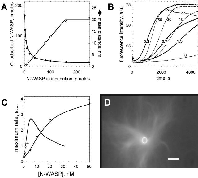 https://cdn.ncbi.nlm.nih.gov/pmc/blobs/c06b/2172664/d8b4481005e8/200207148f1.jpg
