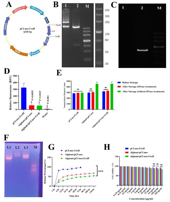 https://cdn.ncbi.nlm.nih.gov/pmc/blobs/c06c/10838413/bf30b0730cc9/12865_2024_602_Fig1_HTML.jpg