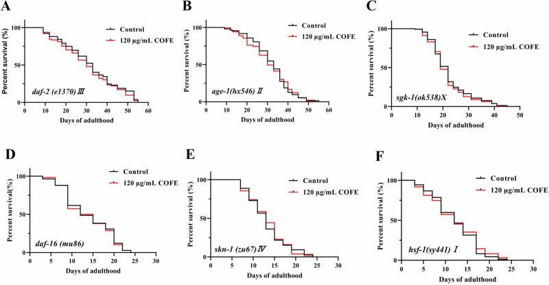 https://cdn.ncbi.nlm.nih.gov/pmc/blobs/c06c/12125234/451fa87c0275/41538_2025_456_Fig6_HTML.jpg
