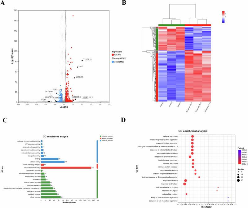 https://cdn.ncbi.nlm.nih.gov/pmc/blobs/c06c/12125234/82250957bde8/41538_2025_456_Fig7_HTML.jpg