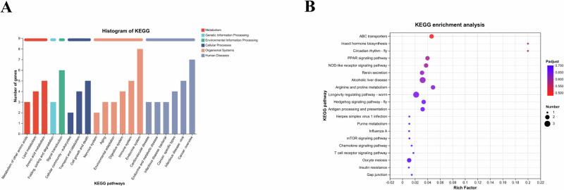 https://cdn.ncbi.nlm.nih.gov/pmc/blobs/c06c/12125234/9bfba5acbe37/41538_2025_456_Fig8_HTML.jpg