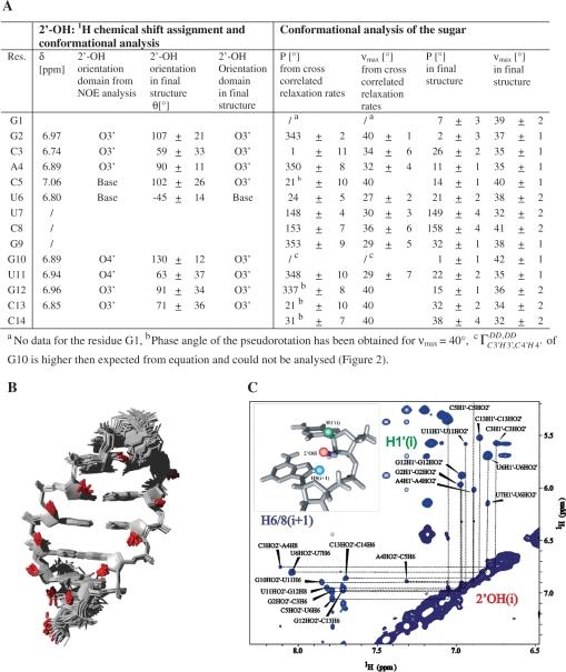 https://cdn.ncbi.nlm.nih.gov/pmc/blobs/c06c/2811024/bfac5767faf1/gkp956f4.jpg