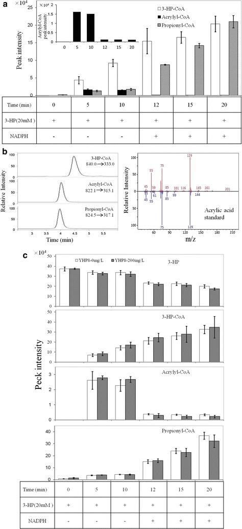 https://cdn.ncbi.nlm.nih.gov/pmc/blobs/c06d/5663086/588c6bbf0900/12934_2017_798_Fig5_HTML.jpg