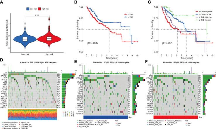 https://cdn.ncbi.nlm.nih.gov/pmc/blobs/c06e/10157233/1fe87070f1ab/fonc-13-1171878-g009.jpg