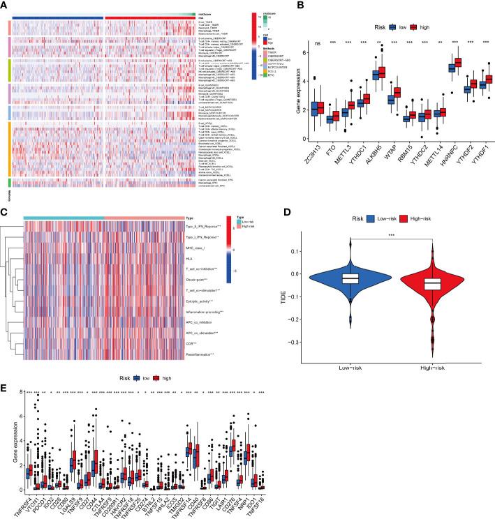 https://cdn.ncbi.nlm.nih.gov/pmc/blobs/c06e/10157233/3cbb91a8a097/fonc-13-1171878-g010.jpg