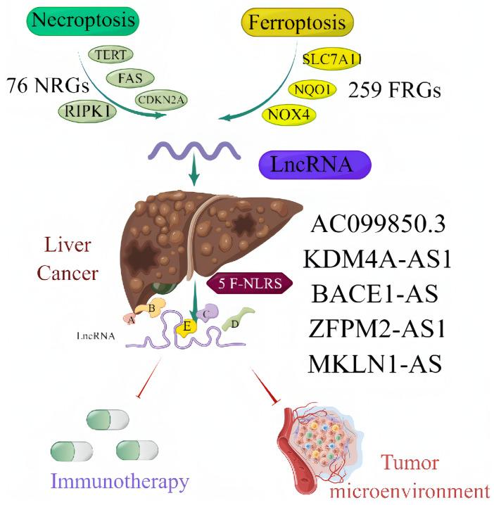https://cdn.ncbi.nlm.nih.gov/pmc/blobs/c06e/10157233/8626583bf023/fonc-13-1171878-g001.jpg