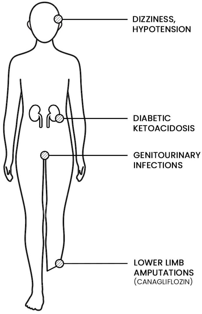 https://cdn.ncbi.nlm.nih.gov/pmc/blobs/c06e/8952302/14cfe9577ac0/jcm-11-01470-g003.jpg