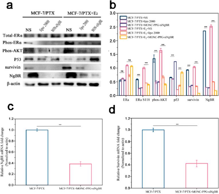 https://cdn.ncbi.nlm.nih.gov/pmc/blobs/c06e/8956824/316dc62ab937/gr4.jpg