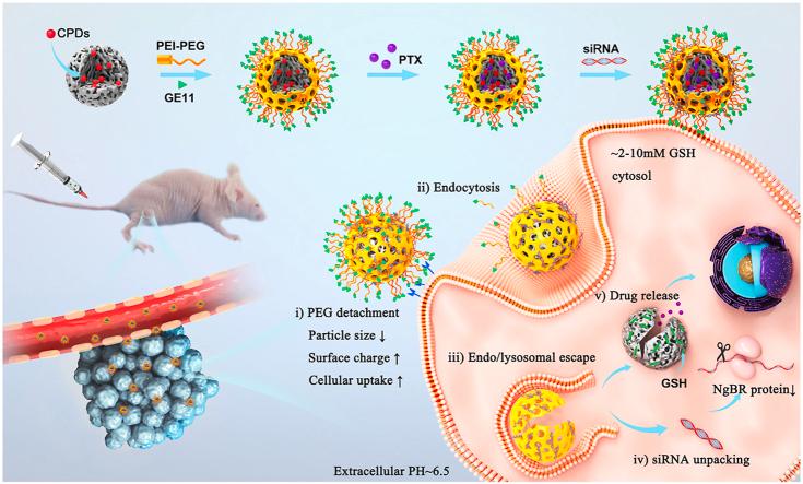 https://cdn.ncbi.nlm.nih.gov/pmc/blobs/c06e/8956824/5de74e2de1d2/ga1.jpg