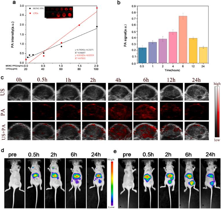 https://cdn.ncbi.nlm.nih.gov/pmc/blobs/c06e/8956824/af07028fe070/gr6.jpg