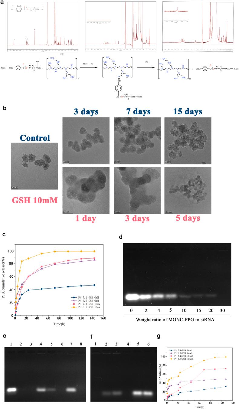 https://cdn.ncbi.nlm.nih.gov/pmc/blobs/c06e/8956824/b2f454ed34b7/gr2.jpg