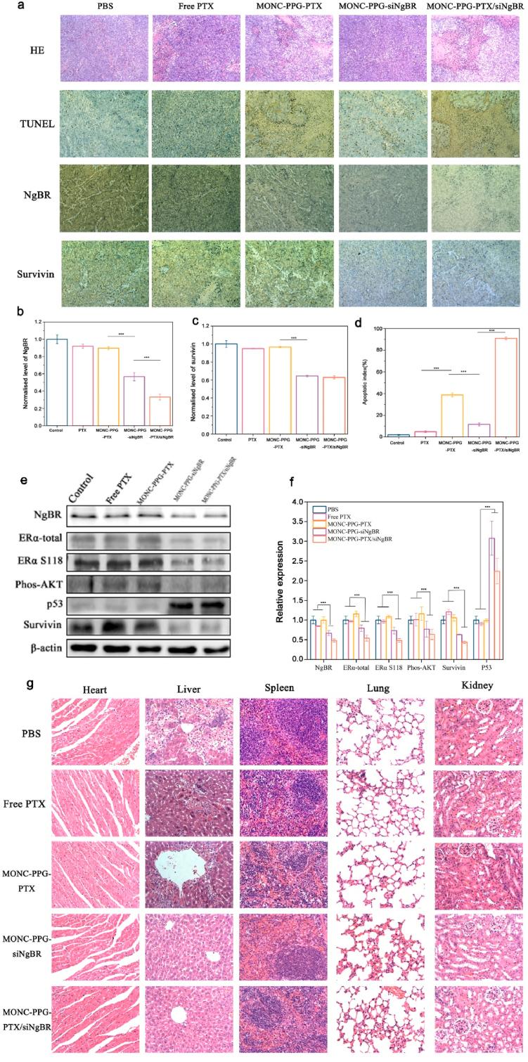 https://cdn.ncbi.nlm.nih.gov/pmc/blobs/c06e/8956824/e9cd3d9d8ee3/gr9.jpg
