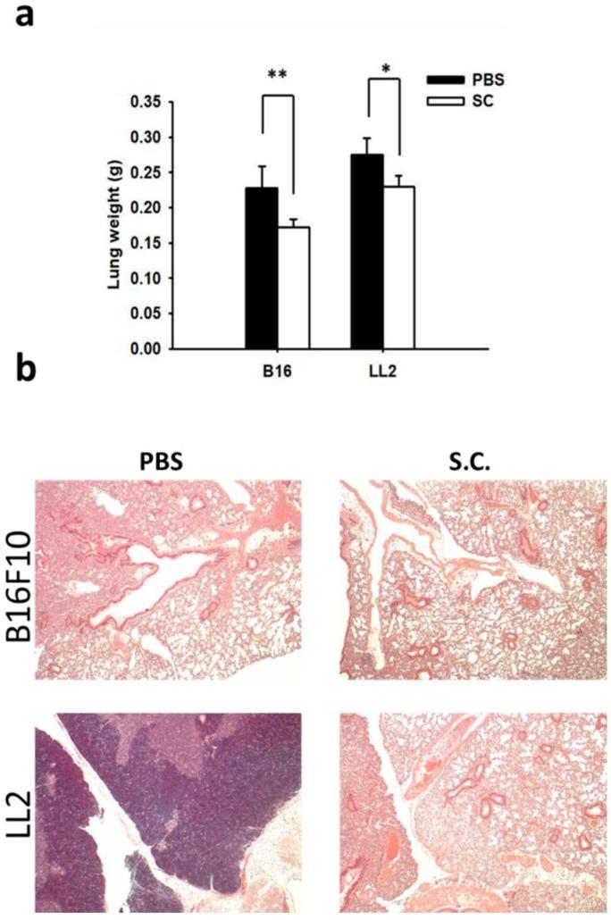 https://cdn.ncbi.nlm.nih.gov/pmc/blobs/c070/6032045/9ad571a3361f/ijms-19-01630-g005.jpg
