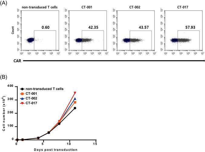 https://cdn.ncbi.nlm.nih.gov/pmc/blobs/c071/11303488/68c2b3a33a80/12275_2024_133_Fig3_HTML.jpg