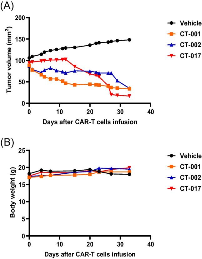 https://cdn.ncbi.nlm.nih.gov/pmc/blobs/c071/11303488/721314a2c0eb/12275_2024_133_Fig7_HTML.jpg