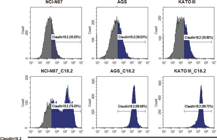 https://cdn.ncbi.nlm.nih.gov/pmc/blobs/c071/11303488/b9e1df2c1782/12275_2024_133_Fig4_HTML.jpg