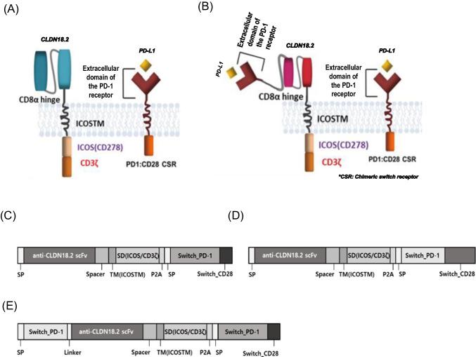 https://cdn.ncbi.nlm.nih.gov/pmc/blobs/c071/11303488/cf3bc3d83066/12275_2024_133_Fig1_HTML.jpg