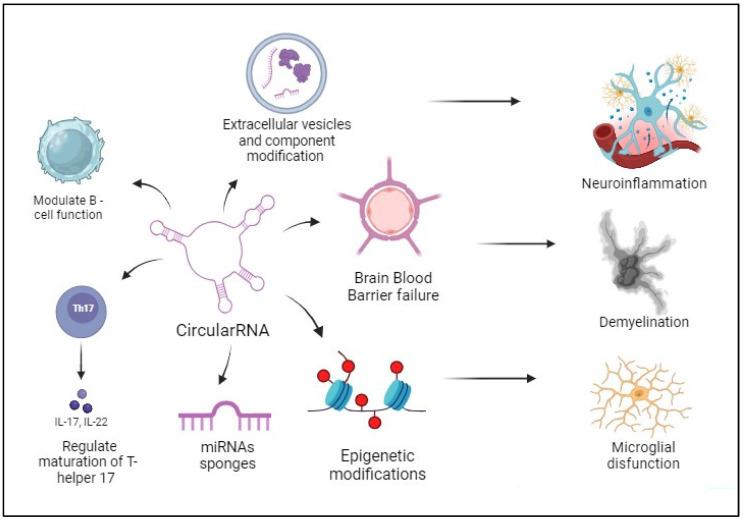 https://cdn.ncbi.nlm.nih.gov/pmc/blobs/c073/10669154/61051438413d/biomedicines-11-02883-g003.jpg