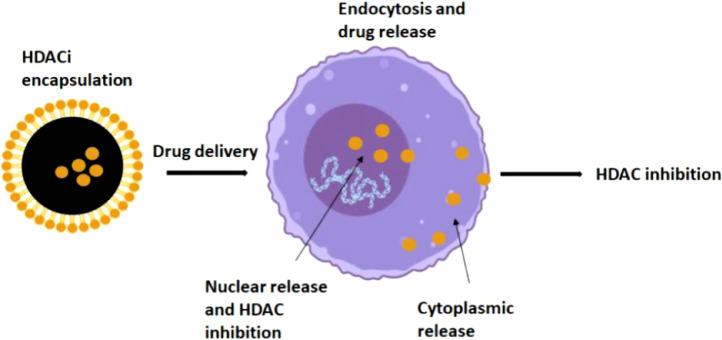 https://cdn.ncbi.nlm.nih.gov/pmc/blobs/c073/8688863/a2e7d6e0612a/gr2.jpg