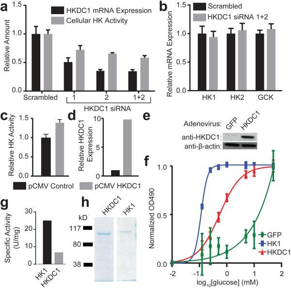 https://cdn.ncbi.nlm.nih.gov/pmc/blobs/c075/4318120/d3f3d11fc569/nihms-648615-f0002.jpg