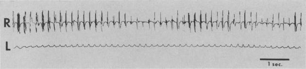 https://cdn.ncbi.nlm.nih.gov/pmc/blobs/c076/1849683/1952595c0d03/canmedaj00965-0033-a.jpg