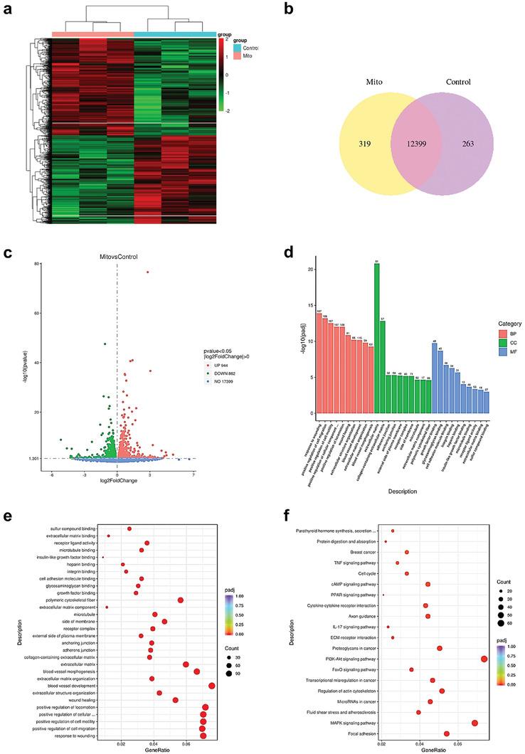 https://cdn.ncbi.nlm.nih.gov/pmc/blobs/c078/11468562/2f977d07639a/ADHM-13-2302128-g003.jpg