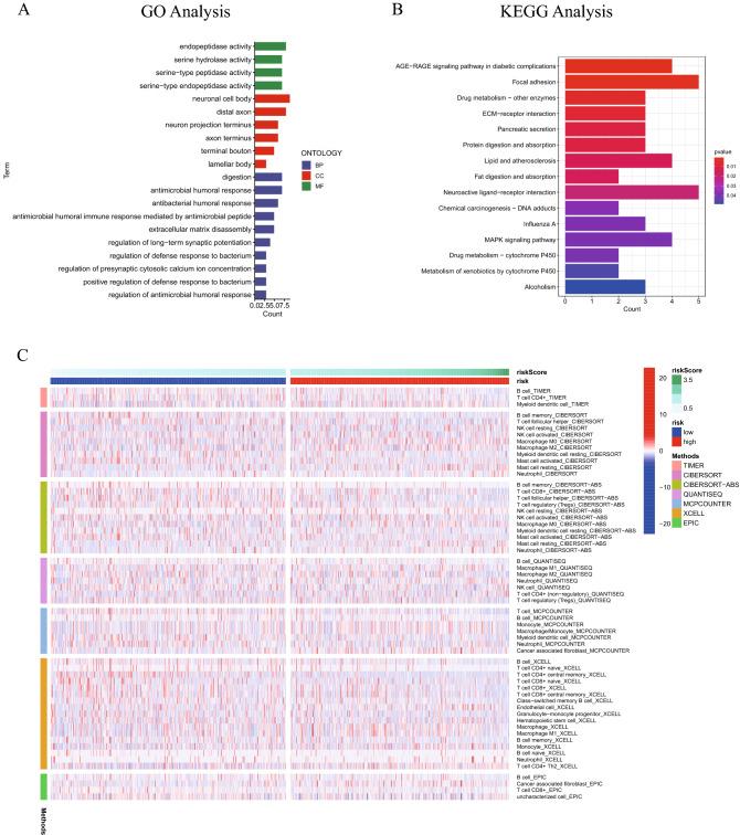 https://cdn.ncbi.nlm.nih.gov/pmc/blobs/c078/9922262/4d67a316dd1e/41598_2023_29719_Fig7_HTML.jpg