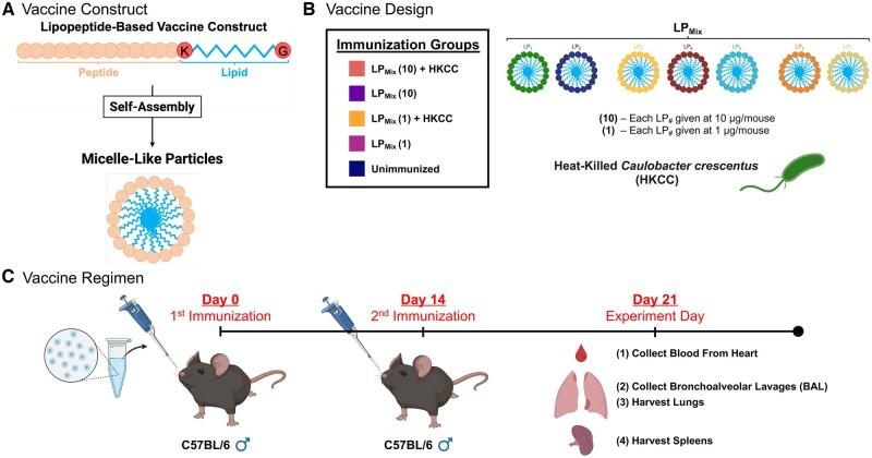 https://cdn.ncbi.nlm.nih.gov/pmc/blobs/c07a/11841972/2a8fb2b0a21d/vlae011f1.jpg