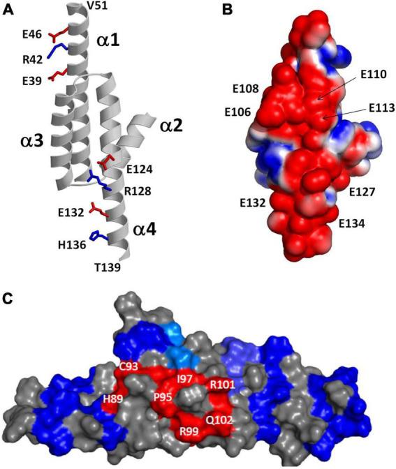 https://cdn.ncbi.nlm.nih.gov/pmc/blobs/c07a/9493048/1dd1c3ef4d9d/fnmol-15-988142-g005.jpg