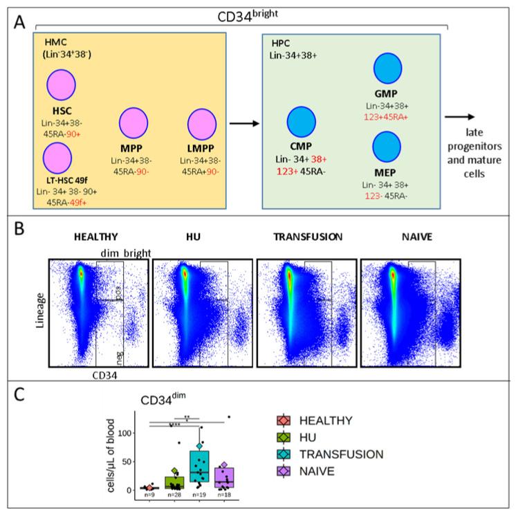 https://cdn.ncbi.nlm.nih.gov/pmc/blobs/c07b/7598721/a09f5fefe7de/cells-09-02159-g001.jpg