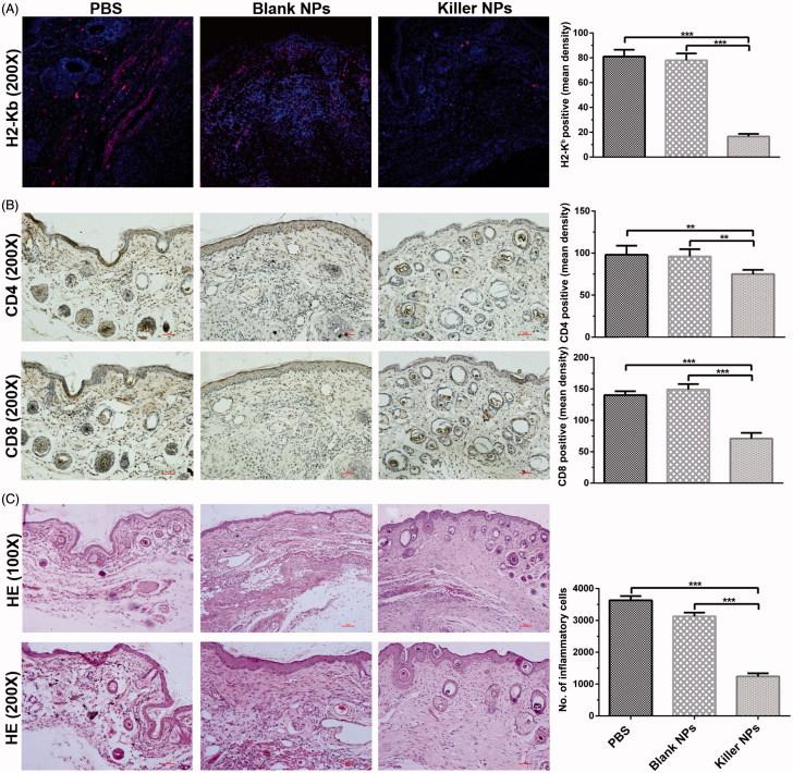 https://cdn.ncbi.nlm.nih.gov/pmc/blobs/c07c/6058602/9e1ad4122631/IDRD_A_1447049_F0002_C.jpg
