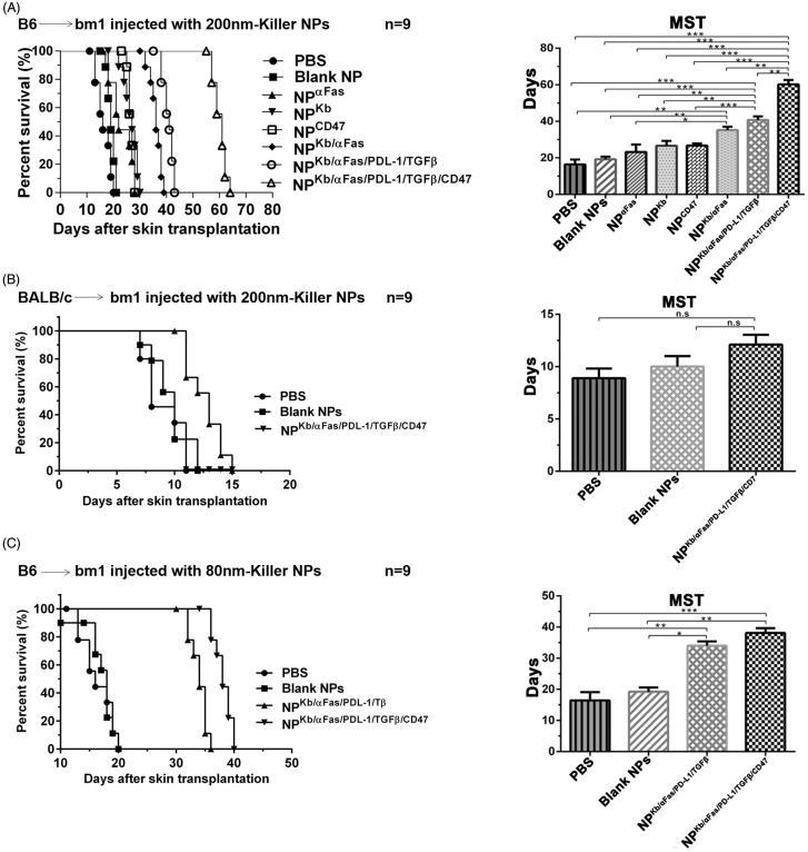 https://cdn.ncbi.nlm.nih.gov/pmc/blobs/c07c/6058602/c662e2b730cc/IDRD_A_1447049_F0001_B.jpg