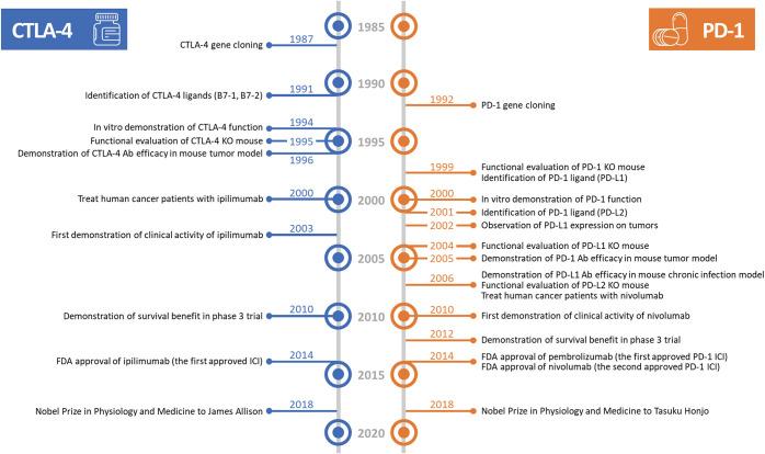 https://cdn.ncbi.nlm.nih.gov/pmc/blobs/c07c/8901707/53a5feec0d42/in-22-e2-g001.jpg