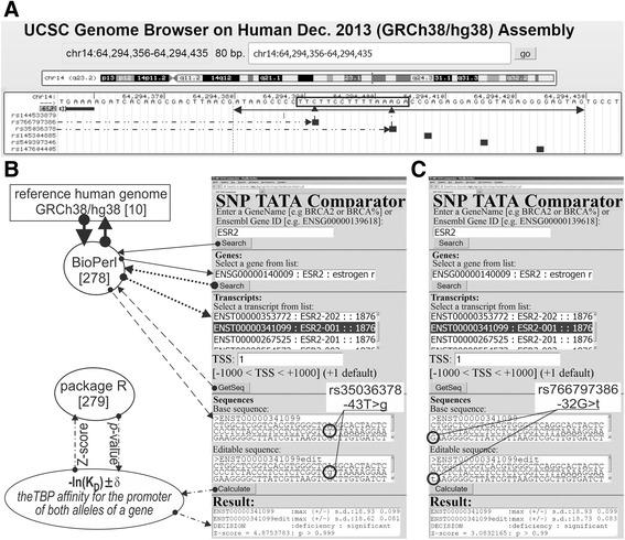 https://cdn.ncbi.nlm.nih.gov/pmc/blobs/c07d/5836831/5536dcc21ccc/12864_2018_4478_Fig1_HTML.jpg