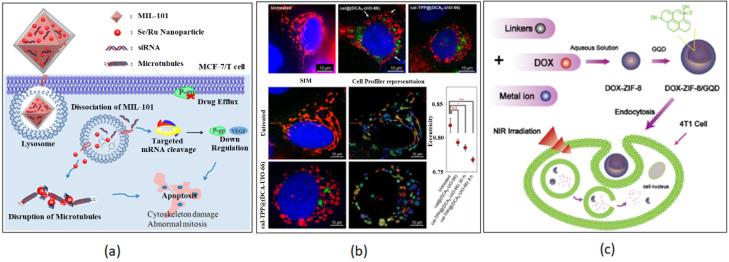 https://cdn.ncbi.nlm.nih.gov/pmc/blobs/c07e/10005089/31f3faf410ac/nanomaterials-13-00953-g014.jpg