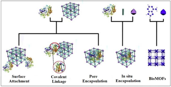 https://cdn.ncbi.nlm.nih.gov/pmc/blobs/c07e/10005089/382c042127e0/nanomaterials-13-00953-g005.jpg