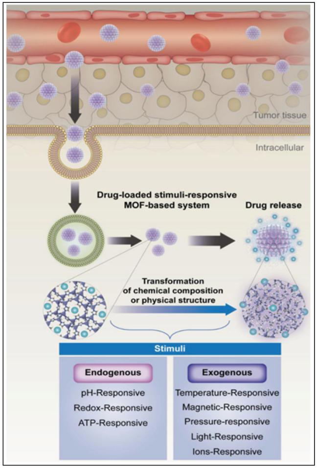 https://cdn.ncbi.nlm.nih.gov/pmc/blobs/c07e/10005089/bcf2220aae8e/nanomaterials-13-00953-g007.jpg