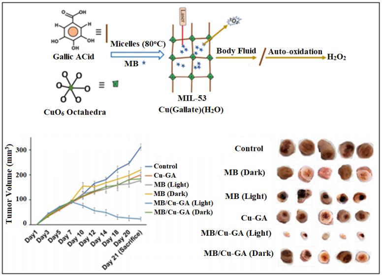 https://cdn.ncbi.nlm.nih.gov/pmc/blobs/c07e/10005089/e51c88f7bc78/nanomaterials-13-00953-g016.jpg