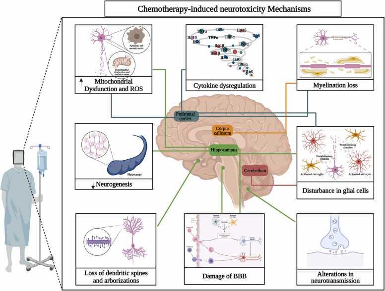 https://cdn.ncbi.nlm.nih.gov/pmc/blobs/c07f/10313882/3ade0e8ed3ee/gr2.jpg