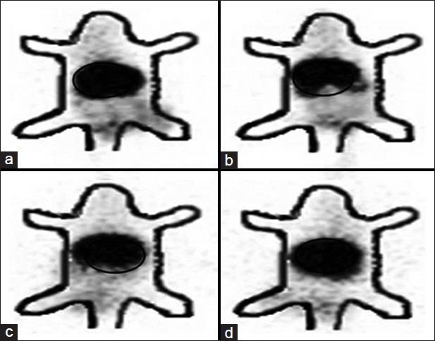 https://cdn.ncbi.nlm.nih.gov/pmc/blobs/c082/3831742/ff474298dcc5/JPBS-5-290-g012.jpg