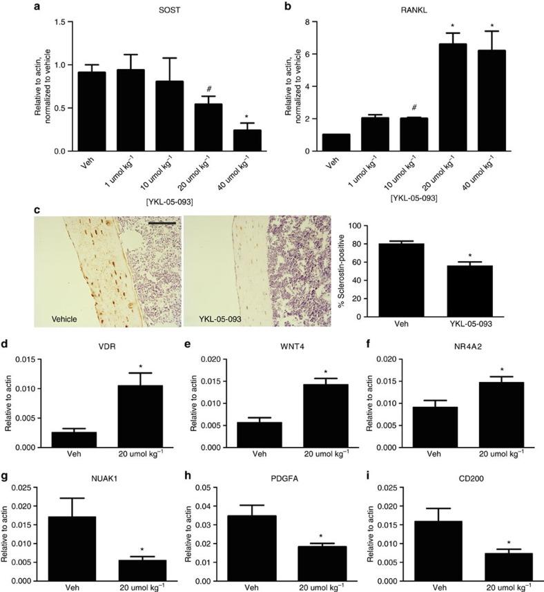 https://cdn.ncbi.nlm.nih.gov/pmc/blobs/c084/5075806/115e79833293/ncomms13176-f7.jpg