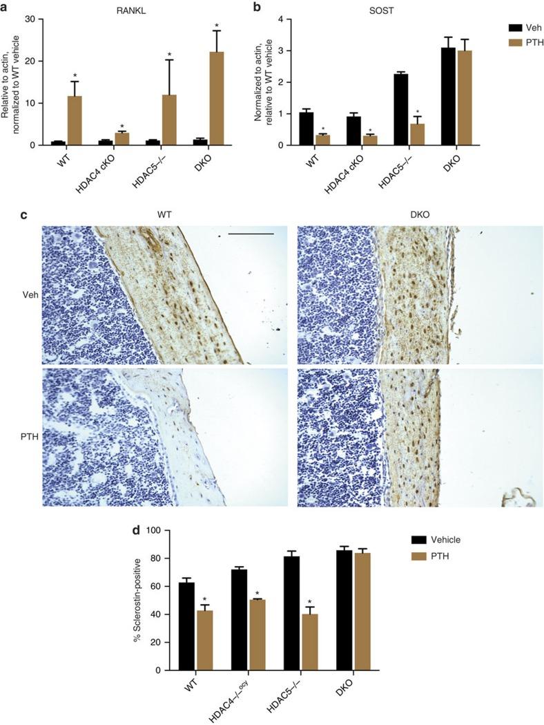 https://cdn.ncbi.nlm.nih.gov/pmc/blobs/c084/5075806/849cafdfd0e1/ncomms13176-f3.jpg